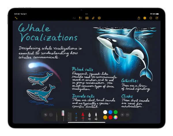 Apple iPad Air 13 (2025)